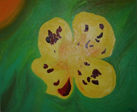 Mimulus - Stefanie Lange - Array auf Array - Array - Array Mimulus - Stefanie Lange - Array auf Array - Array - Array