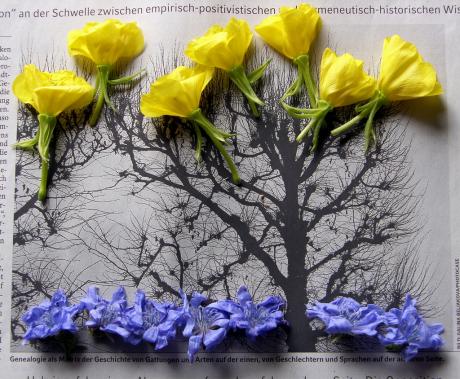 Blumencollage - Reiner Poser - Array auf - Array - Blumencollage - Reiner Poser - Array auf - Array -