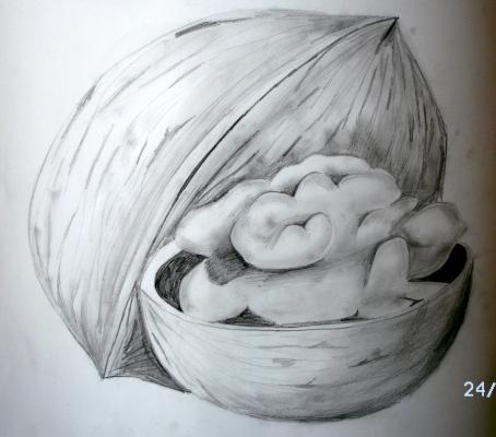 Wahlnuss - Johanna Gmoser - auf - Array - Wahlnuss - Johanna Gmoser - auf - Array -