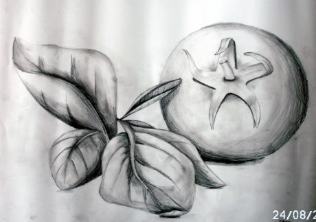 Tomate mit Basilikum - Johanna Gmoser - auf - Array - Tomate mit Basilikum - Johanna Gmoser - auf - Array -