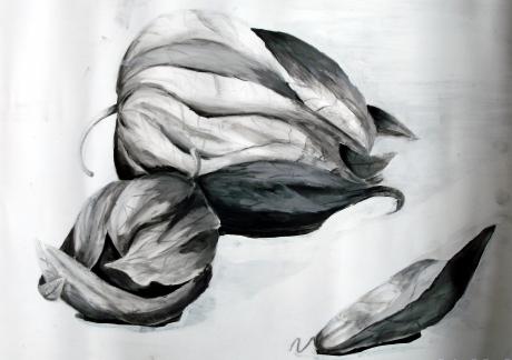 Physalis - Johanna Gmoser - Array auf Array - Array - Array Physalis - Johanna Gmoser - Array auf Array - Array - Array