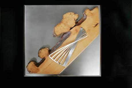 Der Fecher - Thomas Fröhlich - auf Array - - Der Fecher - Thomas Fröhlich - auf Array - -