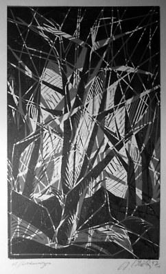 o.T. (Wald) 1997 - wolfkunst - auf - Array - o.T. (Wald) 1997 - wolfkunst - auf - Array -