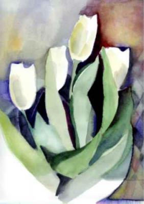 Weisse Tulpen - Aquarellina - Array auf Array - Array - Weisse Tulpen - Aquarellina - Array auf Array - Array -