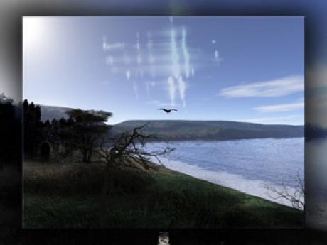 dreamland 63 - Dreamingbee - auf - Array - dreamland 63 - Dreamingbee - auf - Array -