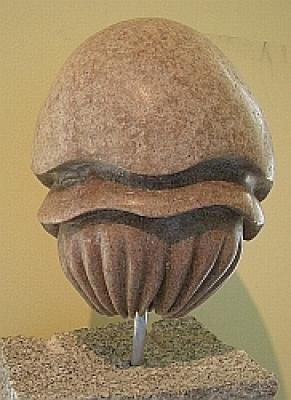 Jelly Fish - Thomas Berger - auf - Array - Jelly Fish - Thomas Berger - auf - Array -