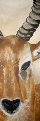 Antilope - Sabrina Pleiner - Array auf Array - Array - Antilope - Sabrina Pleiner - Array auf Array - Array -