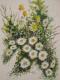 Blumen - Uke BFA - auf - Blumen - Blumen - Uke BFA - auf - Blumen -