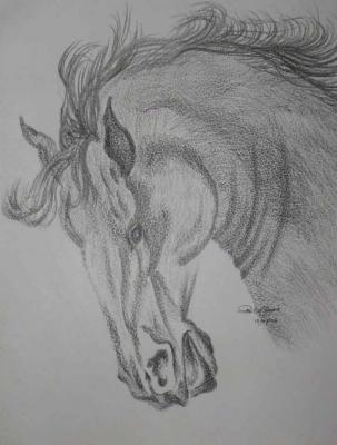 Pferd - Uke BFA - Array auf - Array - Pferd - Uke BFA - Array auf - Array -