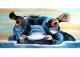 hippo blue - vidore - Acryl auf Leinwand - Sonstiges - hippo blue - vidore - Acryl auf Leinwand - Sonstiges -