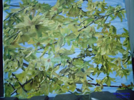 Frühlingsblüher in Öl - helen neumann - Array auf Array - Array - Array Frühlingsblüher in Öl - helen neumann - Array auf Array - Array - Array