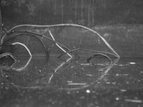 Kunst am BauI - M.Päßler - Array auf - Array - Kunst am BauI - M.Päßler - Array auf - Array -