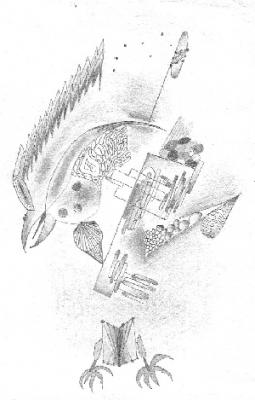 Abstraktion Vogel - M.K. - Array auf Array - Array - Array Abstraktion Vogel - M.K. - Array auf Array - Array - Array