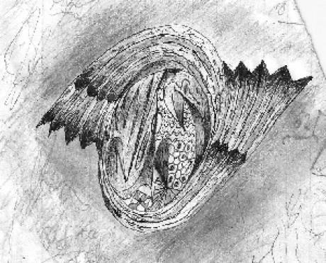 Vogel Rotation - Skizze - M.K. - auf - Array - Vogel Rotation - Skizze - M.K. - auf - Array -