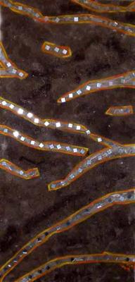 Aderung - Moog - Array auf Array - Array - Aderung - Moog - Array auf Array - Array -