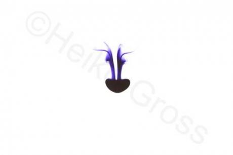 Wasser III - Heiko Gross - auf - Array - Wasser III - Heiko Gross - auf - Array -