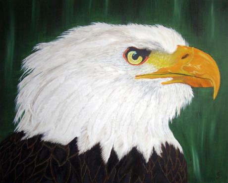 Der Seeadler - colnatel - Array auf Array - Array - Der Seeadler - colnatel - Array auf Array - Array -