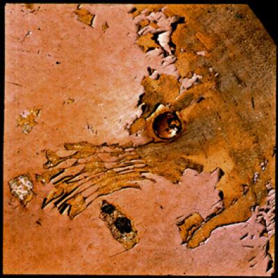 -KATZ & MAUS -Zyklus Lack ab. - ZIMANO - auf - Array - -KATZ & MAUS -Zyklus Lack ab. - ZIMANO - auf - Array -