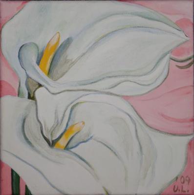 Calla (Serie:Blüten und Pflanzen) - Ursula Langa - Array auf Array - Array - Array Calla (Serie:Blüten und Pflanzen) - Ursula Langa - Array auf Array - Array - Array