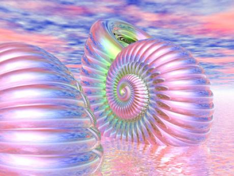 Gift from the Sea - Hariette HarietteH - auf - Array - Gift from the Sea - Hariette HarietteH - auf - Array -