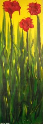 Roter Mohn - Klaus Ainedter - Array auf Array - Array - Array Roter Mohn - Klaus Ainedter - Array auf Array - Array - Array