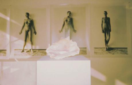 Studio cologne - Udo Klein - auf - Array - Studio cologne - Udo Klein - auf - Array -