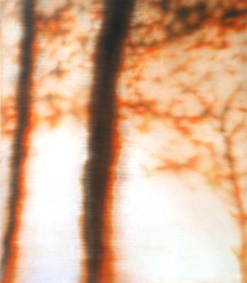 Bäume II - Liana Kaasik - Array auf Array - Array - Bäume II - Liana Kaasik - Array auf Array - Array -