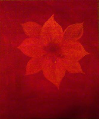 Amaryllis-Blüte - Corinna Bucknor - Array auf Array - Array - Array Amaryllis-Blüte - Corinna Bucknor - Array auf Array - Array - Array