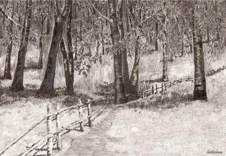 --- - - Array auf - - --- - - Array auf - -