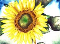 Sunflower 5 -Lutz Erler- - Lutz Erler - Array auf Array - Array - Sunflower 5 -Lutz Erler- - Lutz Erler - Array auf Array - Array -