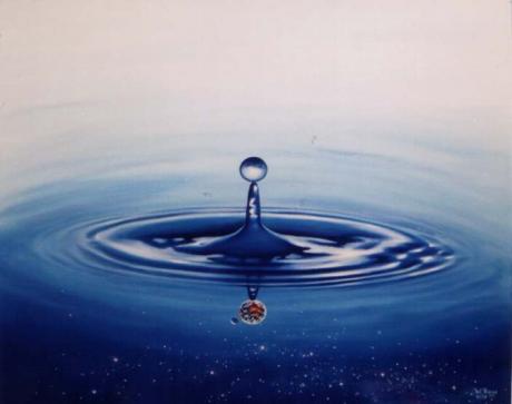 Nur ein Tropfen -Wolfgang Rose- - Wolfgang Rose - Array auf Array - Array - Nur ein Tropfen -Wolfgang Rose- - Wolfgang Rose - Array auf Array - Array -