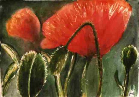 Mohn (1999) Helmut Herzog - Helmut Herzog - Array auf Array - Array - Mohn (1999) Helmut Herzog - Helmut Herzog - Array auf Array - Array -