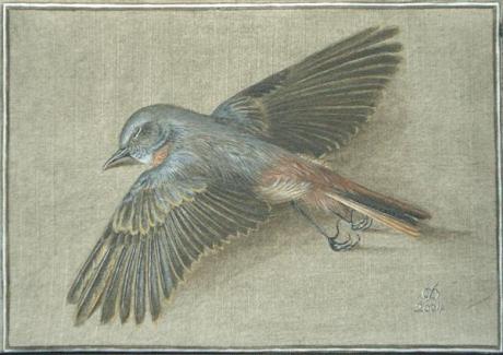 Gartenrotschwänzchen 2 (2004) Christine Becker - Christine Becker - Array auf Array - Array - Gartenrotschwänzchen 2 (2004) Christine Becker - Christine Becker - Array auf Array - Array -