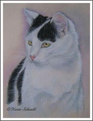 Kater PETERLE - Karin Schnabl - Array auf - Array - Kater PETERLE - Karin Schnabl - Array auf - Array -