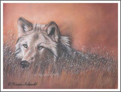 Autumn Wolf - Karin Schnabl - Array auf - Array - Autumn Wolf - Karin Schnabl - Array auf - Array -