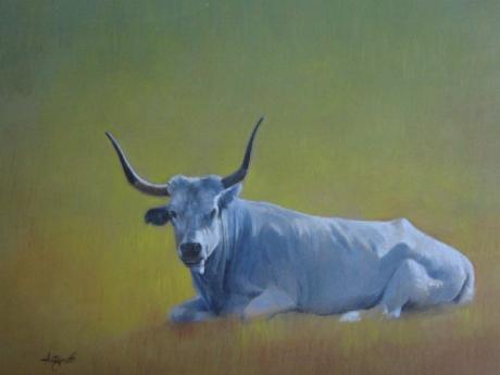 Mucca maremmana - LORENZO ANTOGNETTI -  auf Array - Array - 