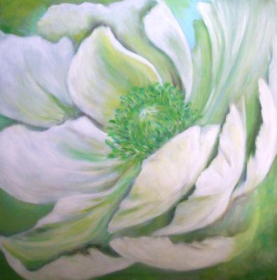 weisse Anemone - Ulrike Sallós-Sohns - Array auf Array - Array - Array weisse Anemone - Ulrike Sallós-Sohns - Array auf Array - Array - Array