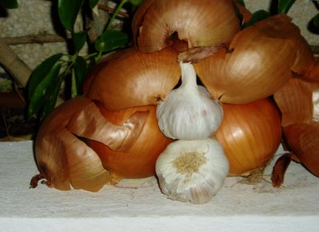 fucking onions - Dr. Ingo Sonntag Domingo-Art - auf - Array - fucking onions - Dr. Ingo Sonntag Domingo-Art - auf - Array -