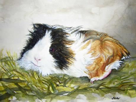 Meerschweinchen - Portrait (2003) Stefan Weber - Stefan Weber - Array auf Array - Array - Meerschweinchen - Portrait (2003) Stefan Weber - Stefan Weber - Array auf Array - Array -