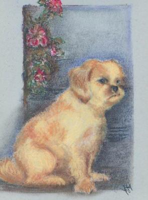 das Hündchen (2003) -Steffen Strobel- - Steffen Strobel - Array auf - Array - das Hündchen (2003) -Steffen Strobel- - Steffen Strobel - Array auf - Array -