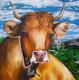 Happy Cow (2004) Dida (Diana Weisbender) - Dida - Acryl auf Leinwand - Sonstiges - Happy Cow (2004) Dida (Diana Weisbender) - Dida - Acryl auf Leinwand - Sonstiges -