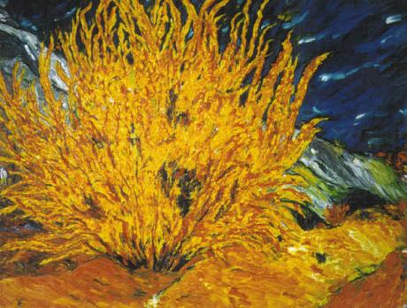 Forsythia - Vera Eisberg - auf Array - Array - Forsythia - Vera Eisberg - auf Array - Array -