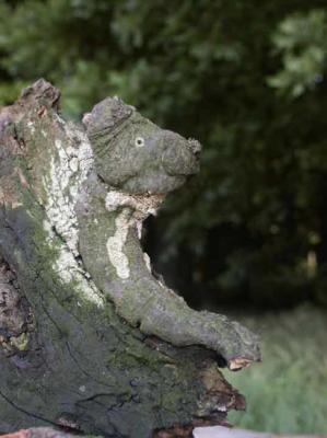 50. Wurm - Burre Carmen - auf - Array - 50. Wurm - Burre Carmen - auf - Array -