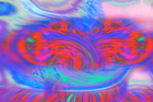 Phönix - Thomas Hasenberger -  auf  - Array - 