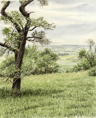 Clouded Summerday (2001) - Manfred Manfred Hönig - Array auf Array - Array - Clouded Summerday (2001) - Manfred Manfred Hönig - Array auf Array - Array -