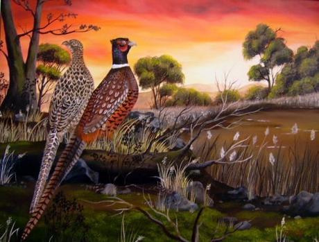 Jagdfasane in der Abendsonne - Jana Seidler - Array auf Array - Array - Array Jagdfasane in der Abendsonne - Jana Seidler - Array auf Array - Array - Array