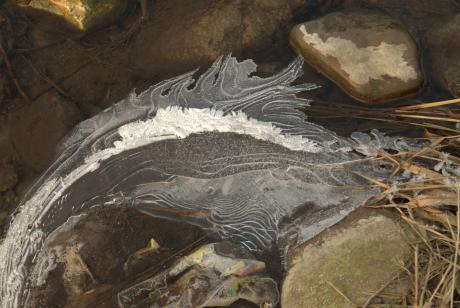 Eiswelle - Max Nemo Mertens - auf - Array - Eiswelle - Max Nemo Mertens - auf - Array -