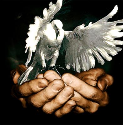 Freedom - Cor Heijnen - Array auf Array - Array - Freedom - Cor Heijnen - Array auf Array - Array -