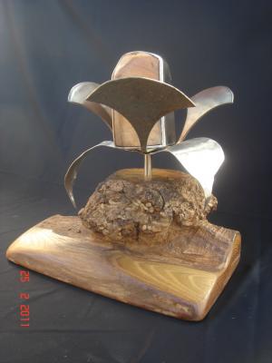 Blume - Thomas Fröhlich - Array auf - Array - Blume - Thomas Fröhlich - Array auf - Array -