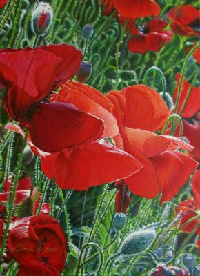 Yours flowers in my eyes #6 - Lucyna, Lima Machowska - Array auf Array - Array - Yours flowers in my eyes #6 - Lucyna, Lima Machowska - Array auf Array - Array -